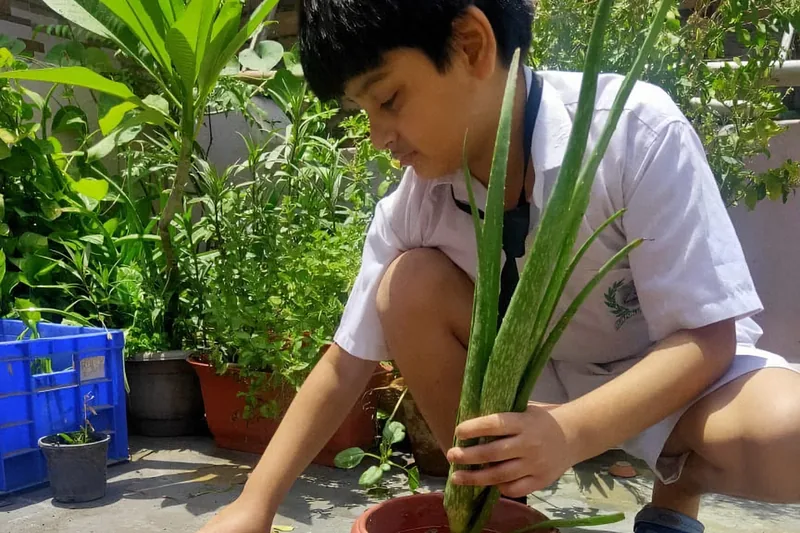 Eco Club