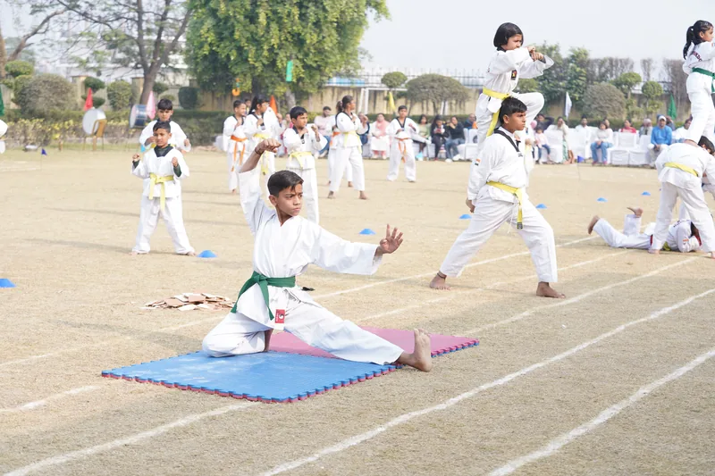 Taekwondo students performing on Sports Day